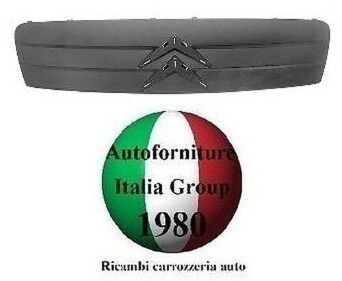 Radiatorgrill vorne 08 - c2, 03>08